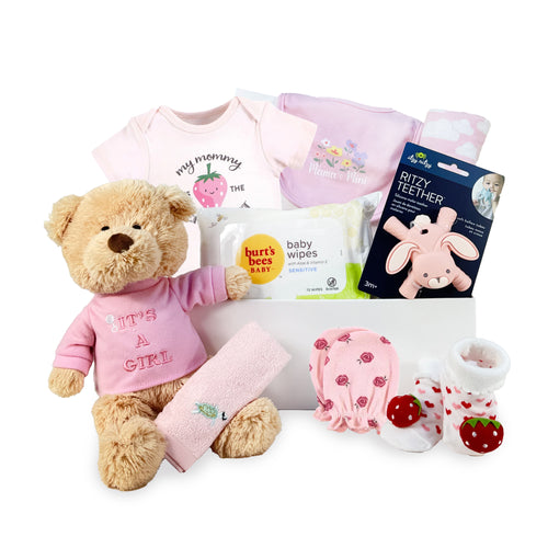 The Gift Baby Hamper Girl BH273