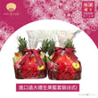 Import Fruit Basket Hamper(8 items)