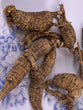 American Wild Ginseng (Each Tael)